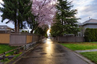 Şehrin banliyölerinde bir yerleşim bölgesinde. Vancouver, BC, Kanada