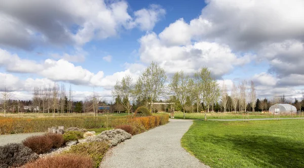 Sentier panoramique dans un parc avec champ verdoyant et arbres dans une ville. — Photo