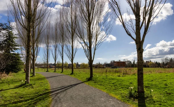 Sentier panoramique dans un parc avec champ verdoyant et arbres dans une ville. — Photo