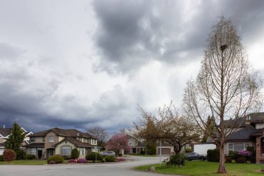 Modern Şehir Banliyölerinde, Mahalle Mahallesi.