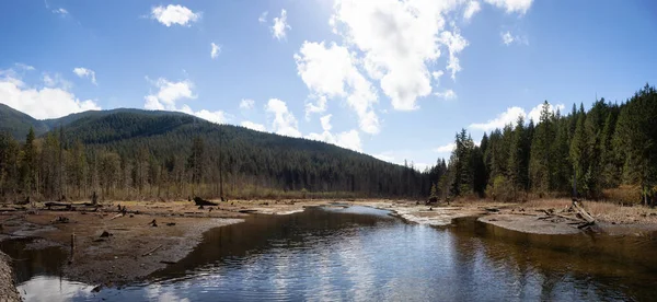 Panoráma kilátás kanadai természet táj. Zöld fák, hegyek és víz. — Stock Fotó