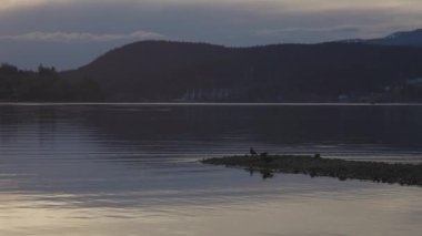Canadian Landscape in Shoreline Trail, Port Moody, Greater Vancouver