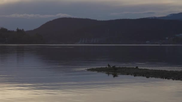 Paysage canadien dans le sentier riverain, Port Moody, Grand Vancouver — Video