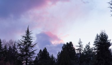 Yeşil ağaçlı dramatik Bulutlu Günbatımı Gökyüzü Arkaplanı.