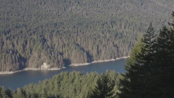 Kanadische Naturlandschaft. Capilano-See, grüne Bäume und Berge. — Stockvideo