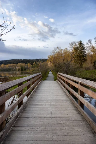 Shoreline Trail 'de yeşil ağaçlı Tahta Yol manzarası