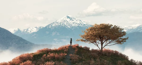 Escena Mágica Fantasía Con Mujer Cima Colina Paisaje Montaña Fondo —  Fotos de Stock