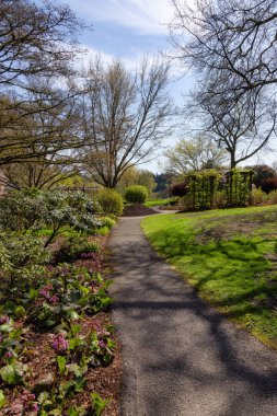 Modern bir şehir parkında renkli çiçeklerle dolu yeşil renkli bir bahçede yol. Deer Lake, Burnaby, Vancouver, British Columbia, Kanada.