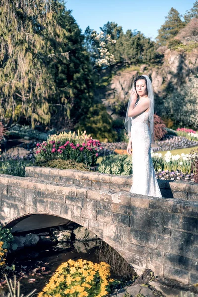 White Caucasian Adult Woman Wedding Dress Standing Nature Queen Elizabeth — Stockfoto