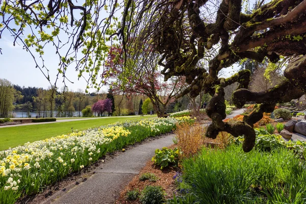 Cesta Zelené Živé Zahradě Barevnými Květy Moderním Městském Parku Jelení — Stock fotografie