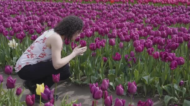 Biała Dorosła Kobieta Patrzy Świeże Kwiaty Tulipana Polu Sezon Wiosenny — Wideo stockowe