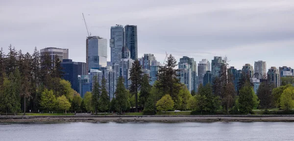 Seawall Stanley Park Highrise Buildings Background Modern City Skyline Downtown — Stock Photo, Image
