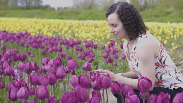 白人成年妇女在田野里凝视着新鲜的郁金香花 — 图库视频影像
