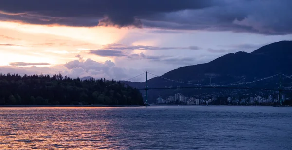 Stanley Park Lions Gate Bridge City Mountains Background West Coast — ストック写真