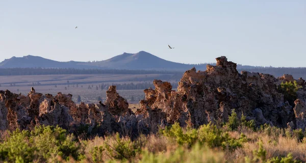 Formación Roca Tufa Lago Mono Sunny Sunrise Situado Lee Vining — Foto de Stock