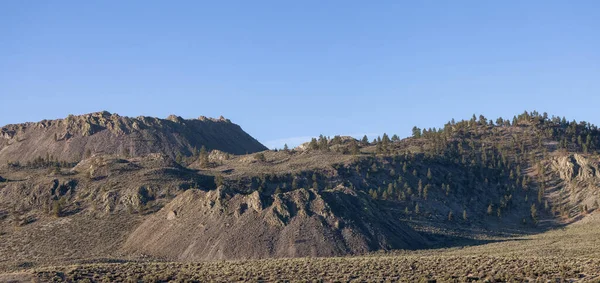 木々と乾燥した岩の砂漠の山の風景 晴れた朝の空 アメリカ カリフォルニア州 自然背景 — ストック写真