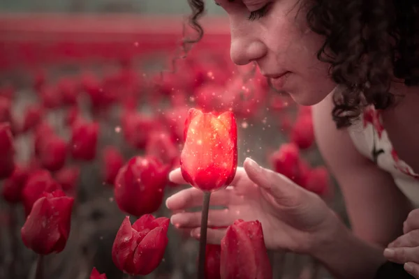 Caucasian Adult Woman Hand Feeling Fresh Tulip Flowers Field Spring — Stock Photo, Image