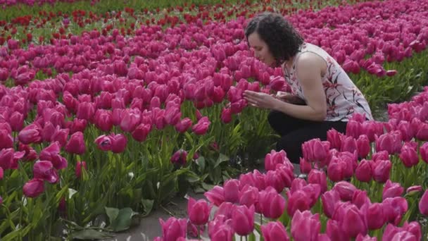 Biała Dorosła Kobieta Patrzy Świeże Kwiaty Tulipana Polu Sezon Wiosenny — Wideo stockowe
