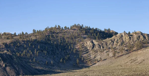 Ξηρά Βραχώδη Έρημο Ορεινό Τοπίο Δέντρα Ηλιόλουστο Πρωινό Ουρανό Καλιφόρνια — Φωτογραφία Αρχείου