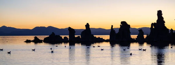 Tufa Torres Formación Rocosa Lago Mono Sunny Sunrise Situado Lee — Foto de Stock