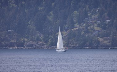 Howe Sound 'da Bowen Adası' ndan yelkenli. Vancouver yakınlarında, British Columbia, Kanada.