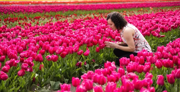 Caucasian Adult Woman Looking Fresh Tulip Flowers Field Spring Season — Stock Photo, Image