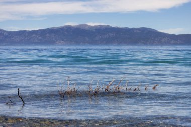 Amerikan Doğa Peyzajı. Tahoe Gölü, Kaliforniya, Amerika Birleşik Devletleri.