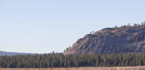 Paisagem Rochosa Seca Montanha Deserto Com Árvores Sunny Morning Sky — Fotografia de Stock