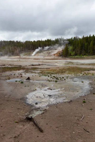 Hot Spring Landscape with colorful ground formation. Yellowstone National Park, Wyoming, United States. Nature Background.