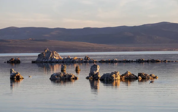 Torri Tufo Formazione Rocciosa Nel Lago Mono Sunny Sunrise Situato — Foto Stock