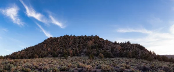 Paisagem Rochosa Seca Montanha Deserto Com Árvores Sunny Sunset Sky — Fotografia de Stock