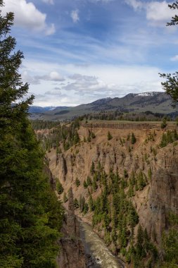 American Landscape 'teki Red Rock Kanyonu ve Nehri. Yellowstone Ulusal Parkı. Birleşik Devletler. Doğa Arkaplanı.