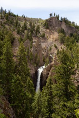 Şelale ve Ağaçlar Amerikan arazisinde. Yellowstone Ulusal Parkı 'ndaki Tower Fall, Wyoming. Birleşik Devletler. Doğa Arkaplanı.
