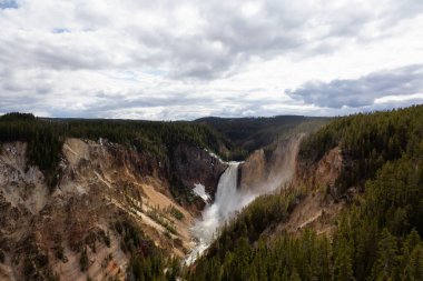 Şelale ve Ağaçlar Amerikan arazisinde. Yellowstone 'un Büyük Kanyonu. Yellowstone Ulusal Parkı, Wyoming. Birleşik Devletler. Doğa Arkaplanı.
