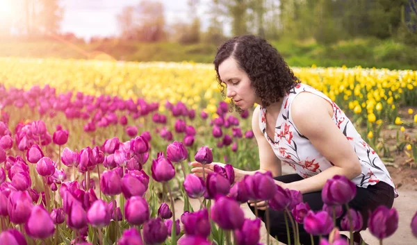 白人成人女性フィールド内の新鮮なチューリップの花を見て 春の季節 — ストック写真