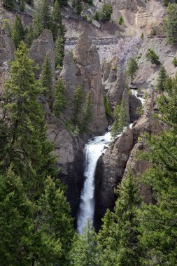 Şelale ve Ağaçlar Amerikan arazisinde. Yellowstone Ulusal Parkı 'ndaki Tower Fall, Wyoming. Birleşik Devletler. Doğa Arkaplanı.