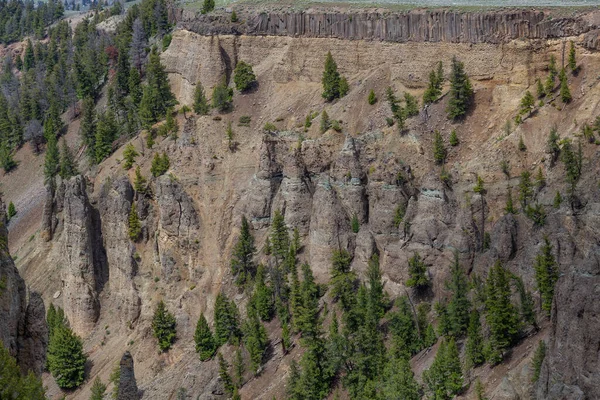 Red Rock Cliffside Trees American Landscape Єллоустонський Національний Парк Сполучені — стокове фото