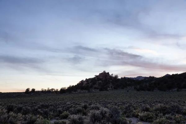 Paisagem Rochosa Seca Montanha Deserto Com Árvores Sunny Sunset Sky — Fotografia de Stock