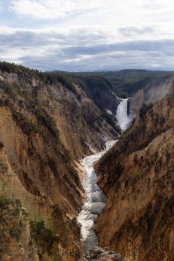 Rocky Canyon ve River, American Landscape 'te. Yellowstone 'un Büyük Kanyonu. Yellowstone Ulusal Parkı. Birleşik Devletler. Doğa Arkaplanı.