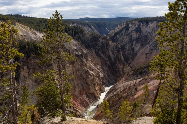 Rocky Canyon River Het Amerikaanse Landschap Grand Canyon Van Yellowstone — Stockfoto