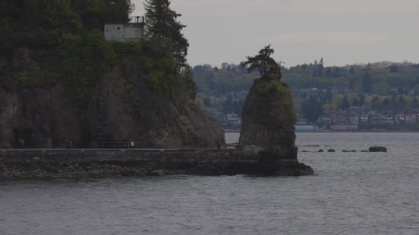 Siwash Rock Seawall Stanley Park West Coast Pacific Ocean Vancouver — Stock Video