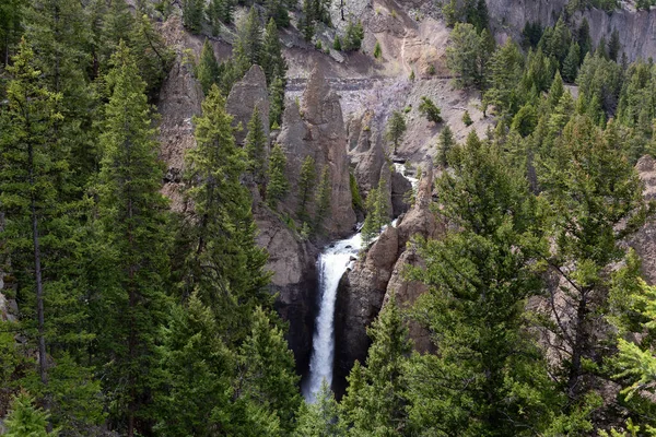 Wodospad Drzewa Amerykańskim Krajobrazie Upadek Wieży Parku Narodowym Yellowstone Wyoming — Zdjęcie stockowe