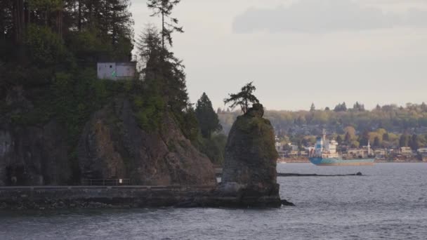 Siwash Rock Seawall Stanley Park West Coast Pacific Ocean Vancouver — Stock Video