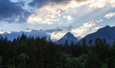 Kanada 'da yeşil ağaçlar ve dağlar. Chilliwack Gölü, British Columbia, Kanada. Doğa Arkaplanı.