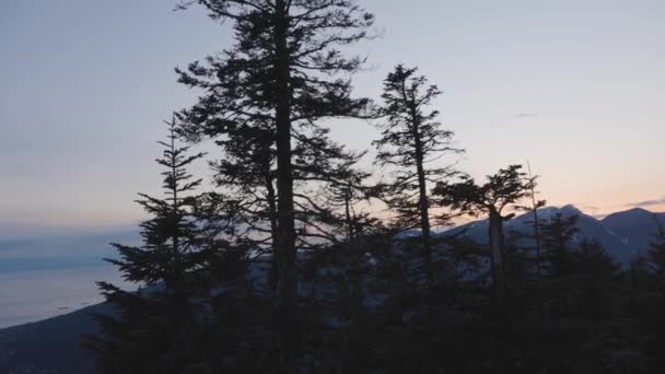 Kleurrijke Zonsondergang Boven Boomtop Berg Voorjaarsseizoen Genomen Grouse Mountain North — Stockvideo
