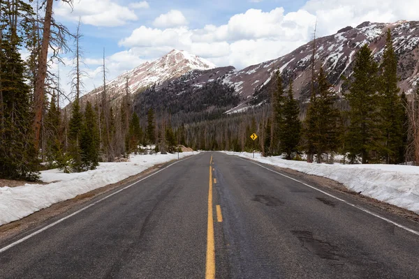 Scenic Road Omgeven Door Bergen Bomen Voorjaarsseizoen Hayden Pass Utah — Stockfoto