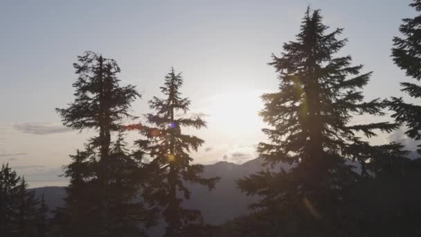 Colorido Atardecer Sobre Cima Del Árbol Montaña Temporada Primavera Tomado — Vídeo de stock