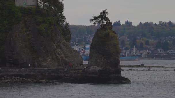 Vancouver British Columbia Canada May 2022 Siwash Rock Seawall Stanley — ストック動画