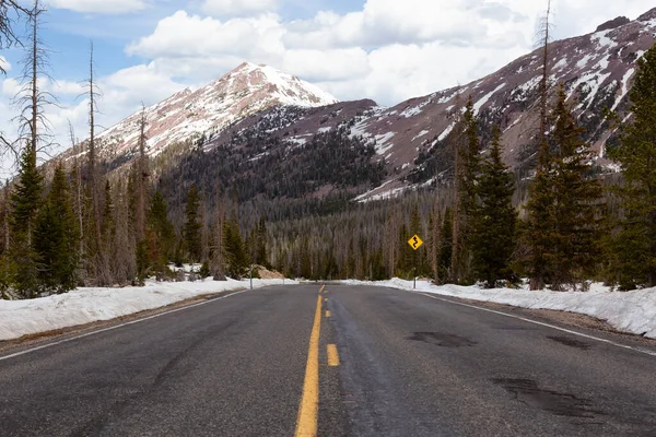 Scenic Road Omgeven Door Bergen Bomen Voorjaarsseizoen Hayden Pass Utah — Stockfoto