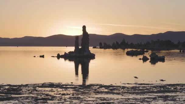 Туфа Формується Озері Моно Сонячний Схід Розташований Віннінг Каліфорнія Сша — стокове відео